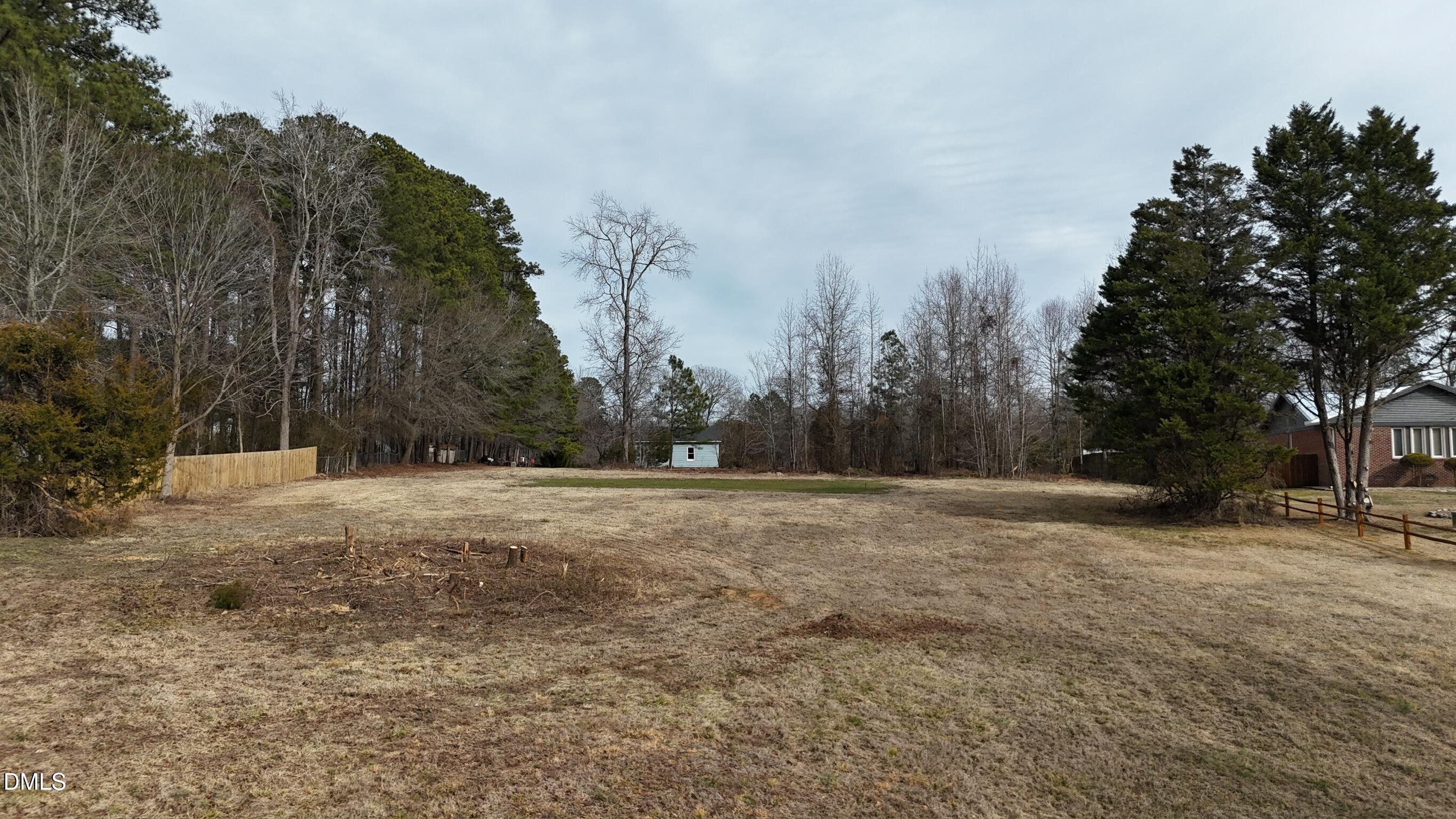 0 Pleasants Road Wendell, NC 27591 - Photo 24 of 32 a view of dirt yard with a large tree
