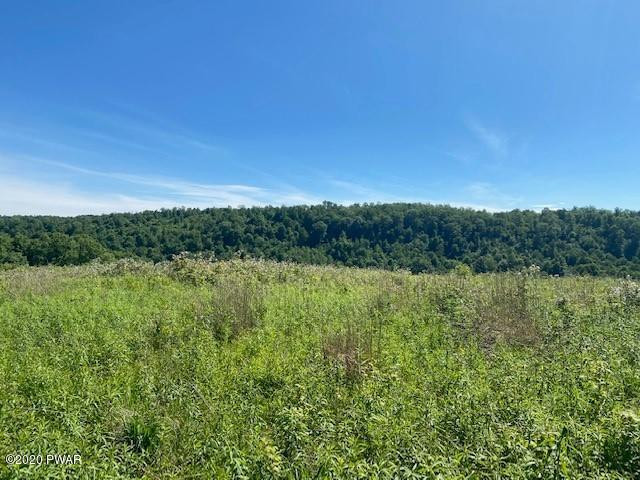 707 Shadigee Creek Road Starrucca, PA 18462 - Photo 4 of 11