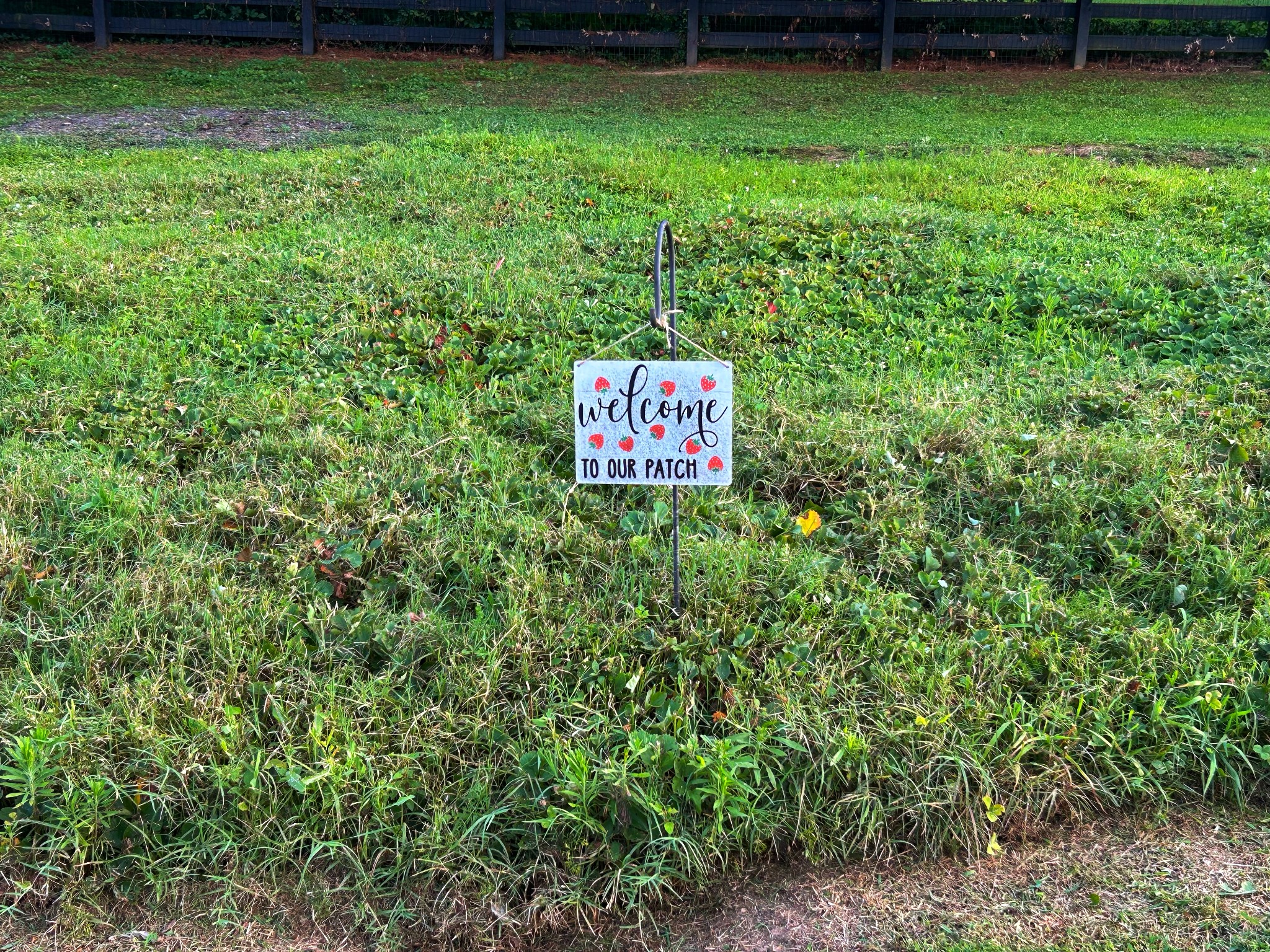 1779 Sedberry Road Franklin, TN 37064 - Photo 67 of 71 a sign that is sitting in the grass next to a yard