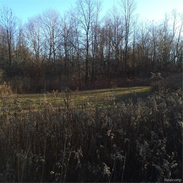 0 Ewalt Road Imlay City, MI 48444 - Photo 10 of 12