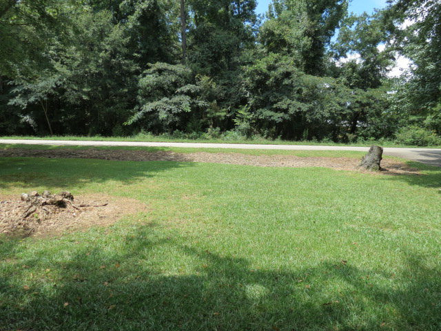 3815 Claremont Road Rembert, SC 29128 - Photo 3 of 41