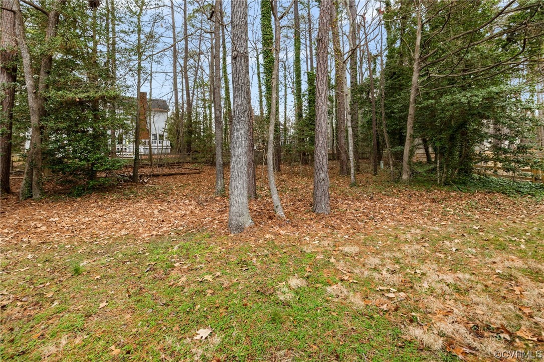 5716 Sandstone Ridge Road Midlothian, VA 23112 - Photo 34 of 36 a backyard of a house with lots of green space and garden