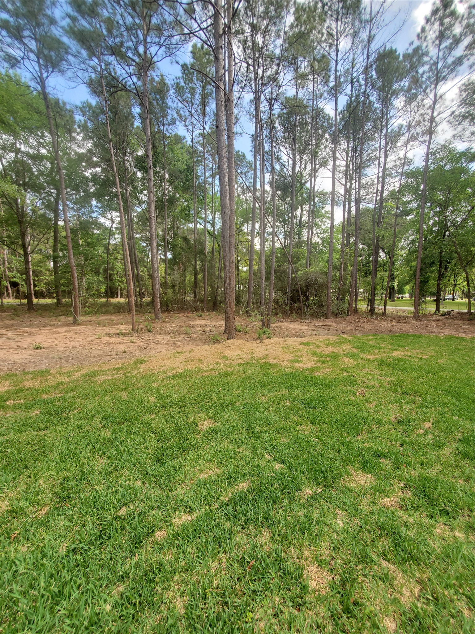 24647 Oak Creek Road Hockley, TX 77447 - Photo 45 of 47 a backyard of apartments with trees