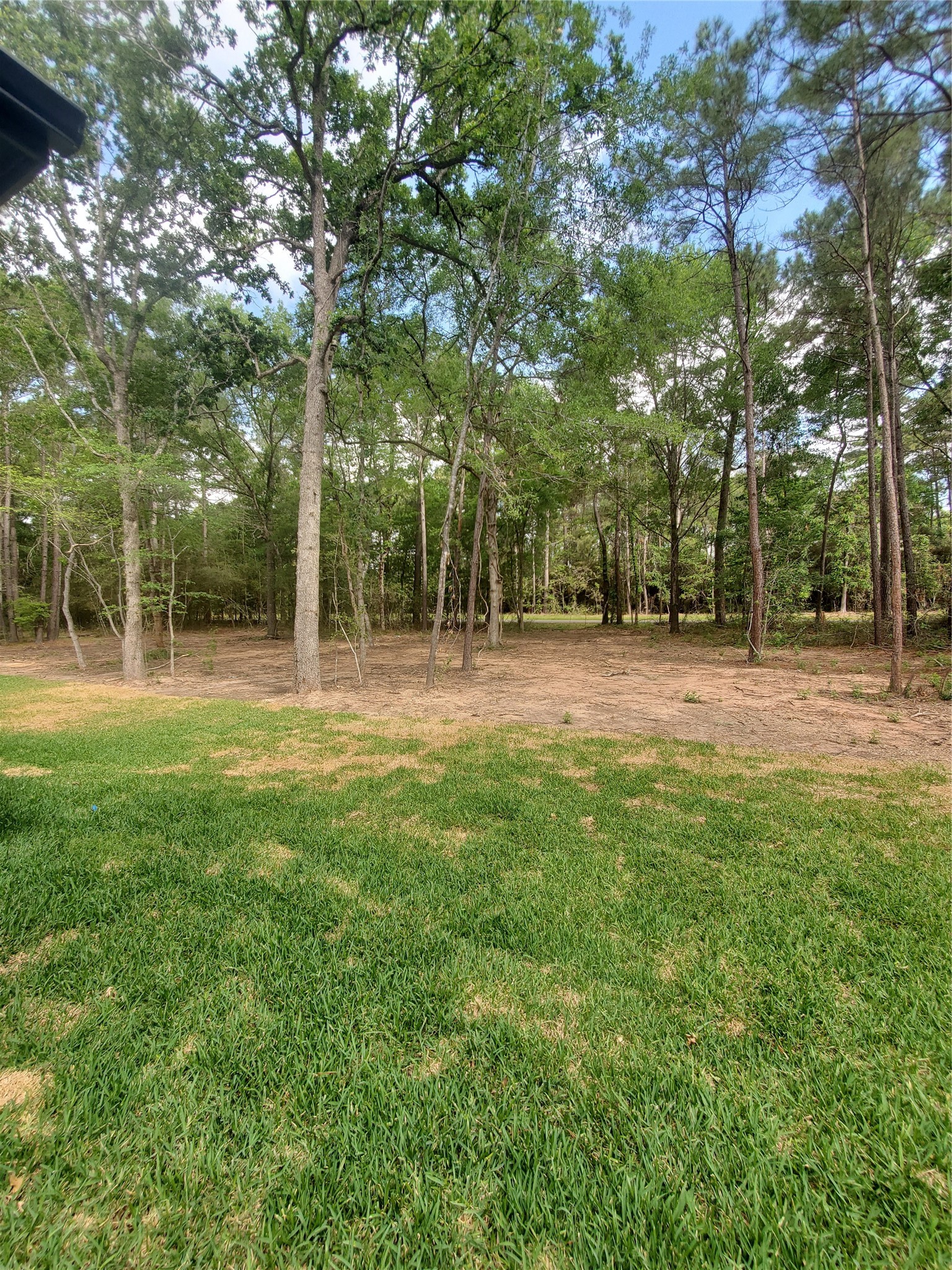 24647 Oak Creek Road Hockley, TX 77447 - Photo 46 of 47 a backyard of apartments with trees