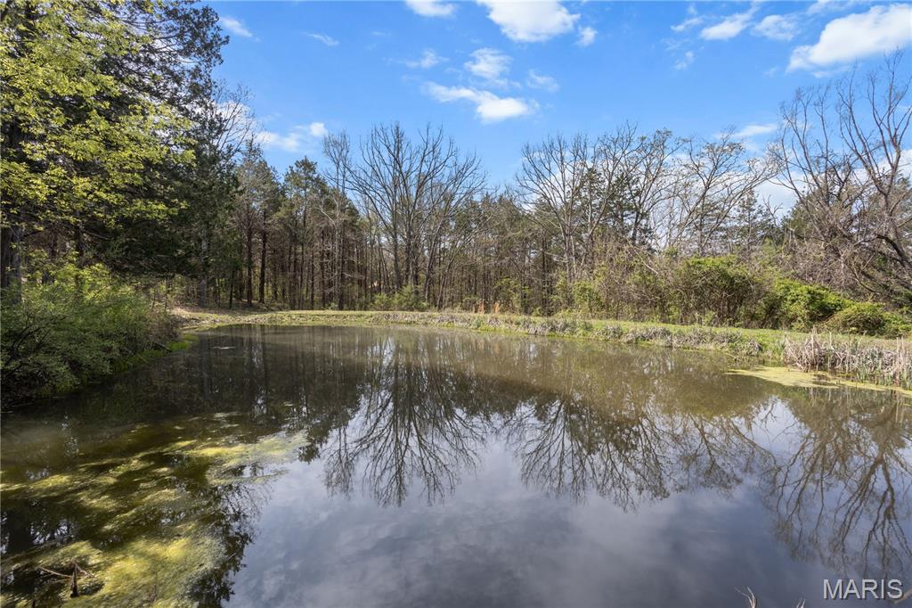 13967 Sullens Road Festus, MO 63028 - Photo 41 of 60