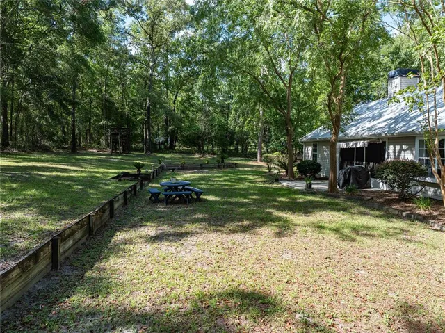 a view of a park that has large trees and a large tree