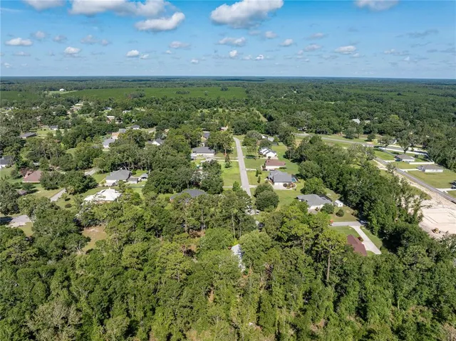 an aerial view of residential houses with outdoor space and trees