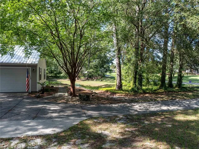 a view of a yard with plants and large trees