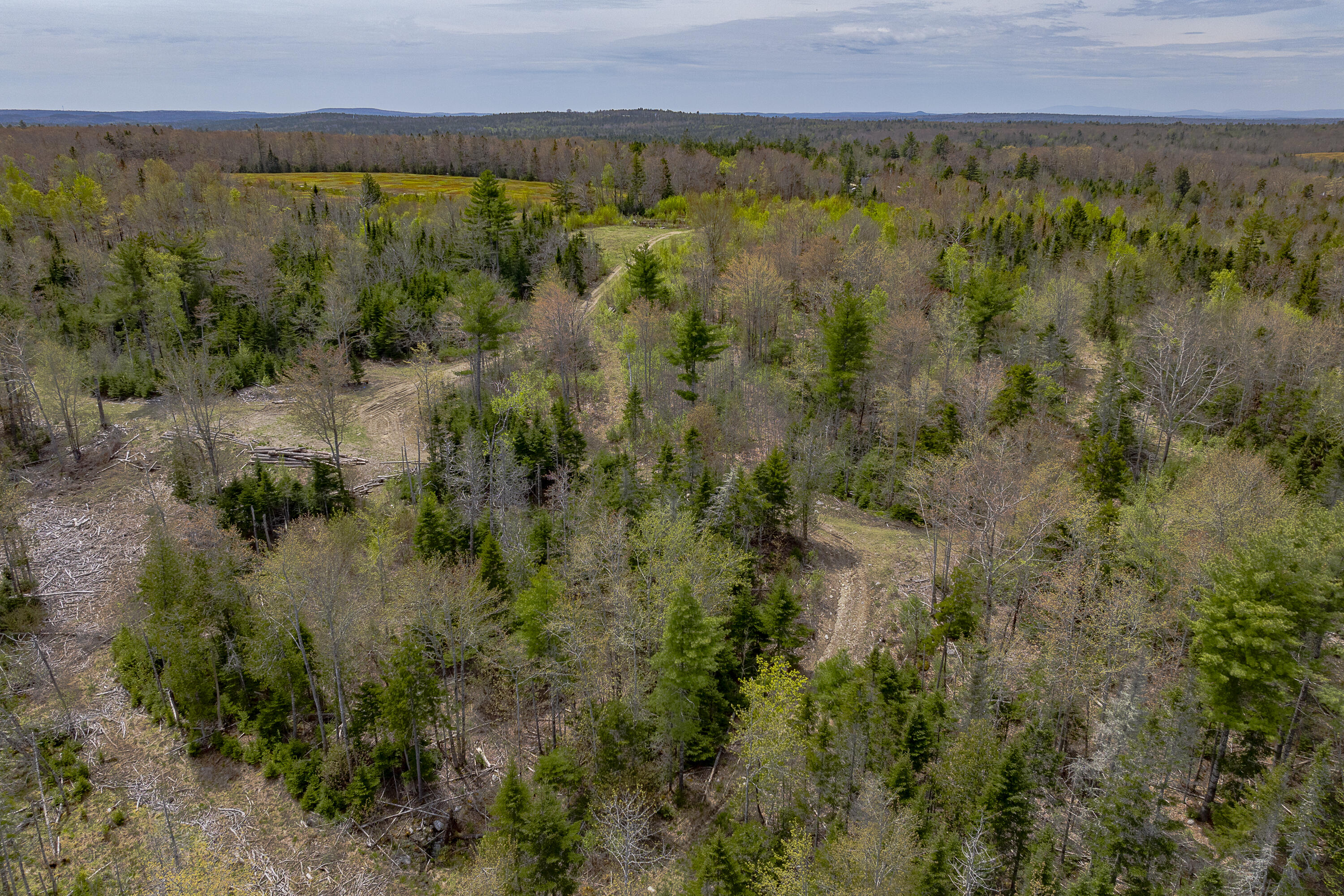 475 A Range Road Blue Hill, ME 04614 - Photo 23 of 24 41-475 Range Road HiRes-DTP