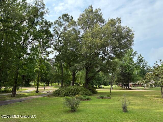 2500 Ratliff Road Raymond, MS 39154 - Photo 2 of 34 IMG_0500