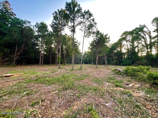 235 Sleepy Point Road Gloucester, NC 28528 - Photo 8 of 16 Lot 2 another view water to road
