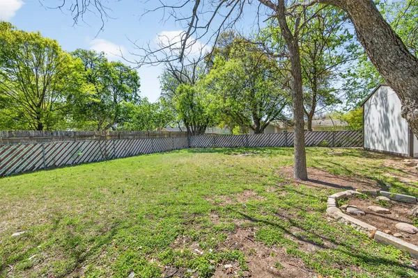 a view of a backyard with a tree