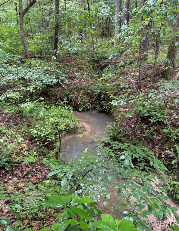 21.9-acres Old Buckingham Road Powhatan, VA 23139 - Photo 1 of 6 a plant view in yard