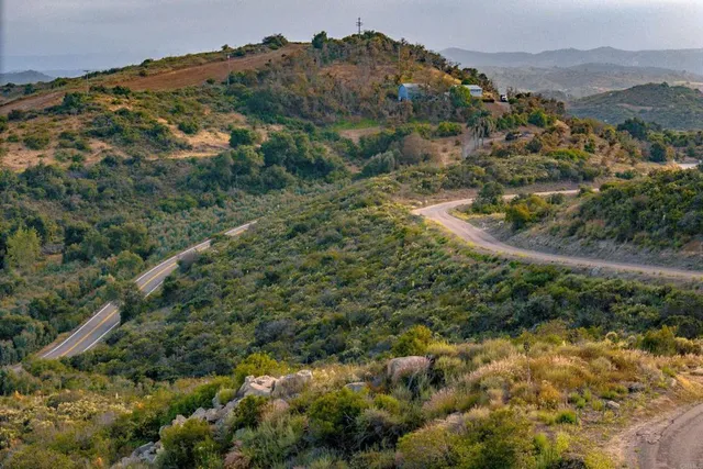 a view of a city with lush green forest