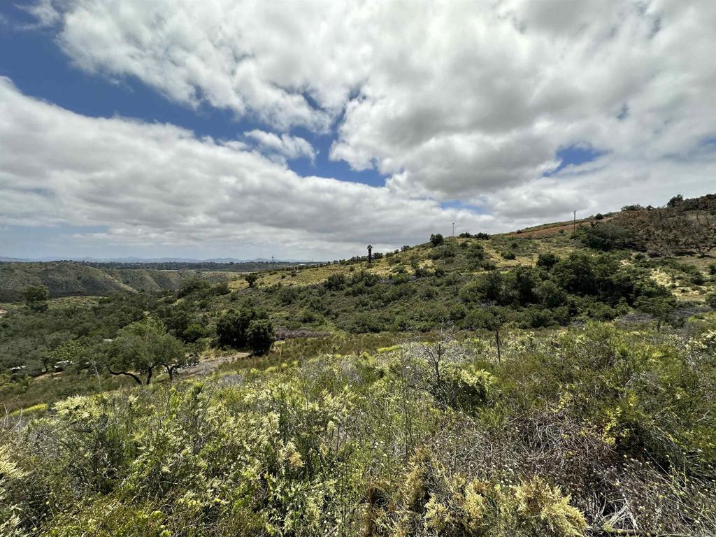6 Harris Trail Fallbrook, CA 92028 - Photo 21 of 33 a view of a bunch of trees
