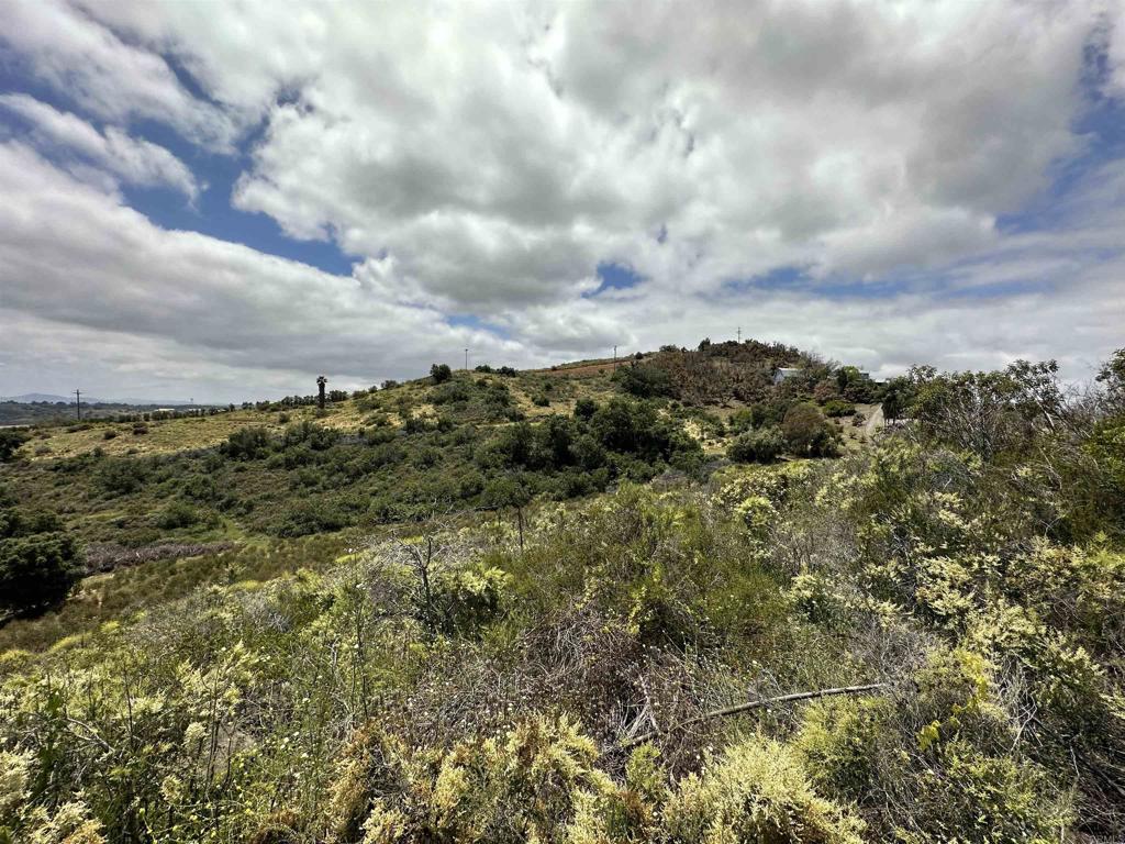 6 Harris Trail Fallbrook, CA 92028 - Photo 22 of 33