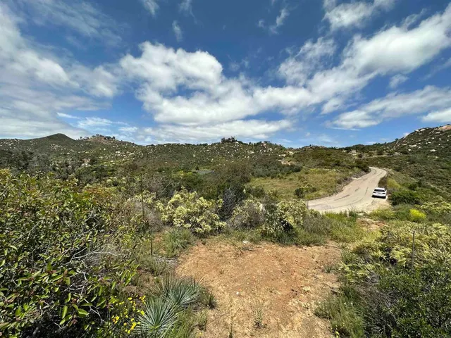 a view of a city with green space