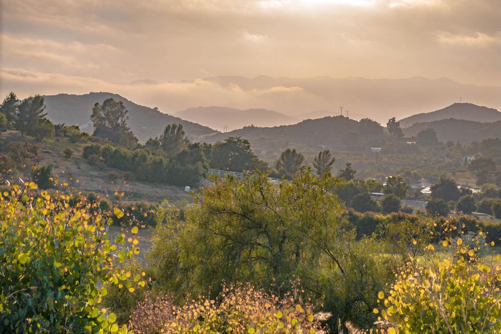 6 Harris Trail Fallbrook, CA 92028 - Photo 5 of 33 a view of a yard with mountains in the background