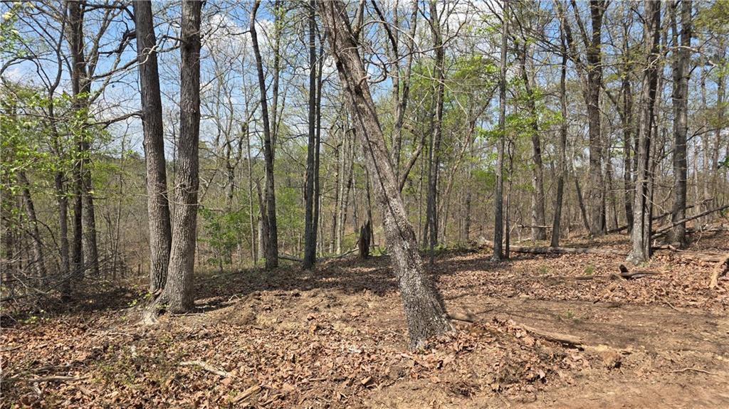 611 Pack Road Northeast Ranger, GA 30734 - Photo 13 of 15 a backyard of a house with lots of trees