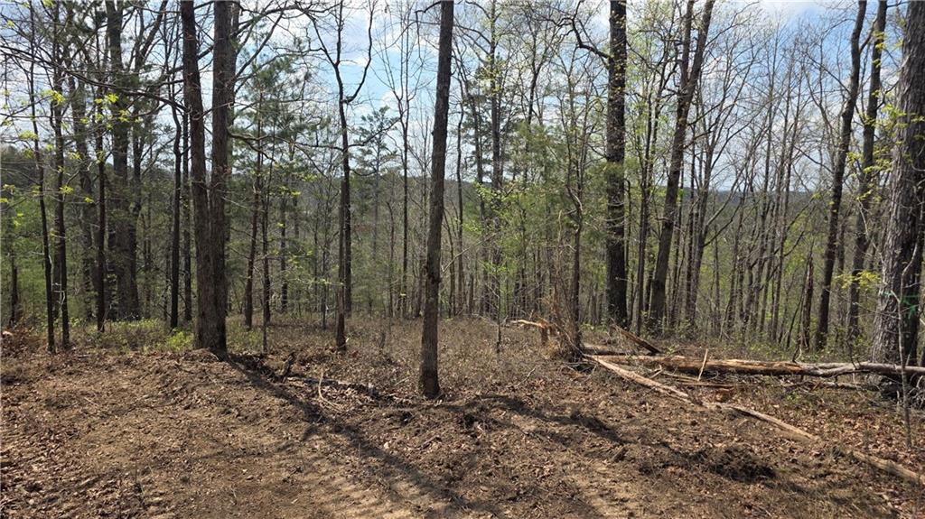 611 Pack Road Northeast Ranger, GA 30734 - Photo 14 of 15 a view of outdoor space and covered with trees