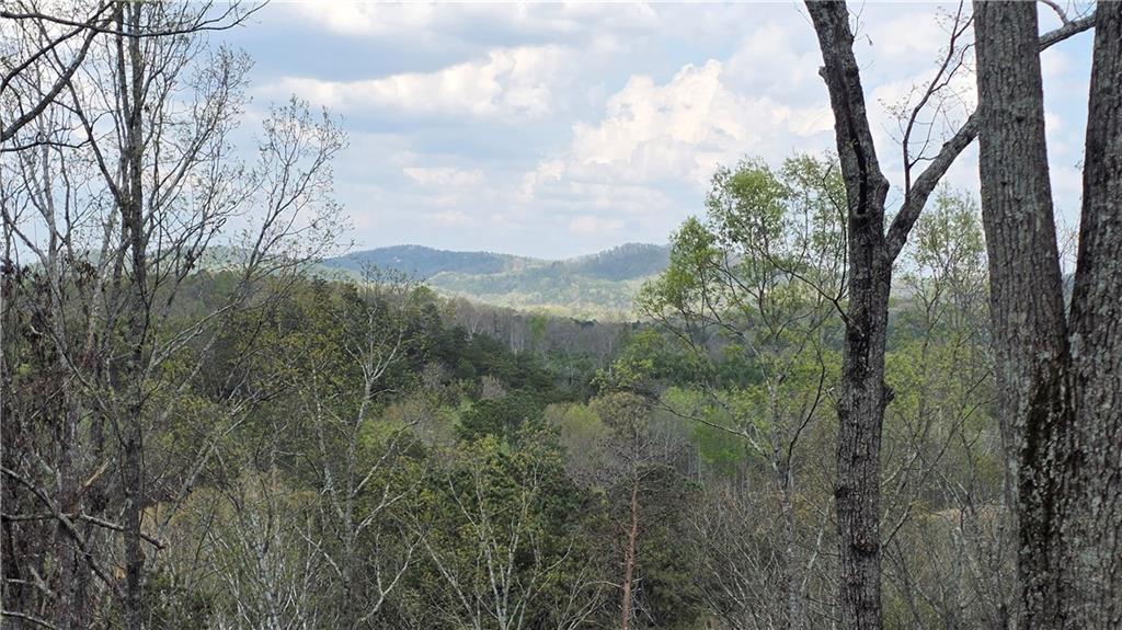 611 Pack Road Northeast Ranger, GA 30734 - Photo 2 of 15 a view of mountain view with lots of trees