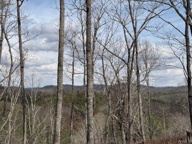 611 Pack Road Northeast Ranger, GA 30734 - Photo 5 of 15 a backyard of a house with lots of green space
