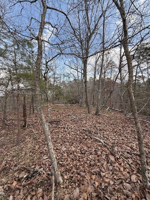 611 Pack Road Northeast Ranger, GA 30734 - Photo 6 of 15 a backyard of a house with lots of green space