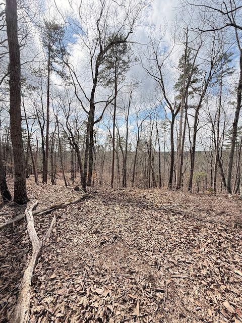 611 Pack Road Northeast Ranger, GA 30734 - Photo 10 of 15 a view of a yard with trees