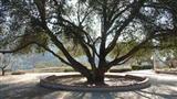 19622 Tollhouse Road Clovis, CA 93619 - Photo 4 of 25