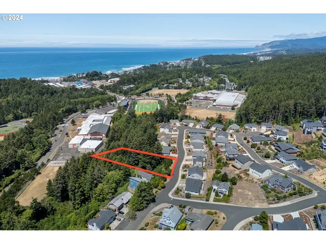 a picture of city view with lots of trees