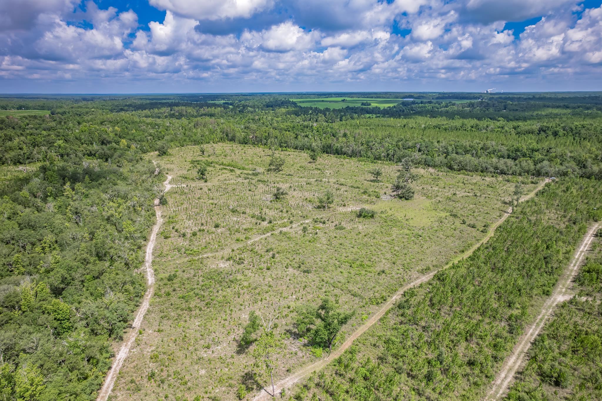 Xxx Northeast Hickory Grove Road Pinetta, FL 32350 - Photo 21 of 32