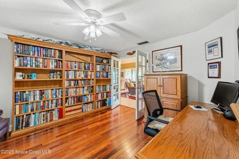 a view of a park with palm trees