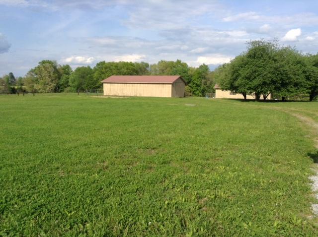 Frost Road Crossville, TN 38571 - Photo 2 of 23 2