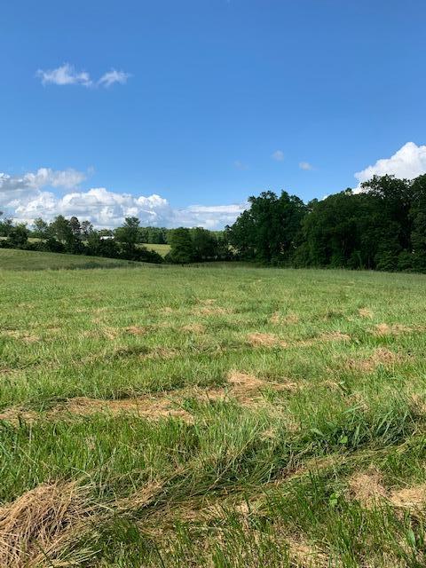 Frost Road Crossville, TN 38571 - Photo 19 of 23 IMG_1126