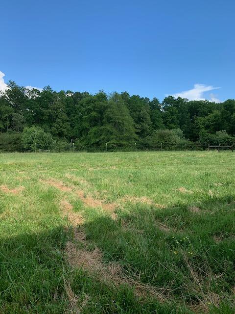Frost Road Crossville, TN 38571 - Photo 21 of 23 IMG_1128
