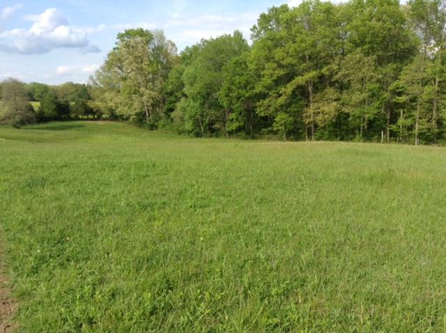 Frost Road Crossville, TN 38571 - Photo 5 of 23 5