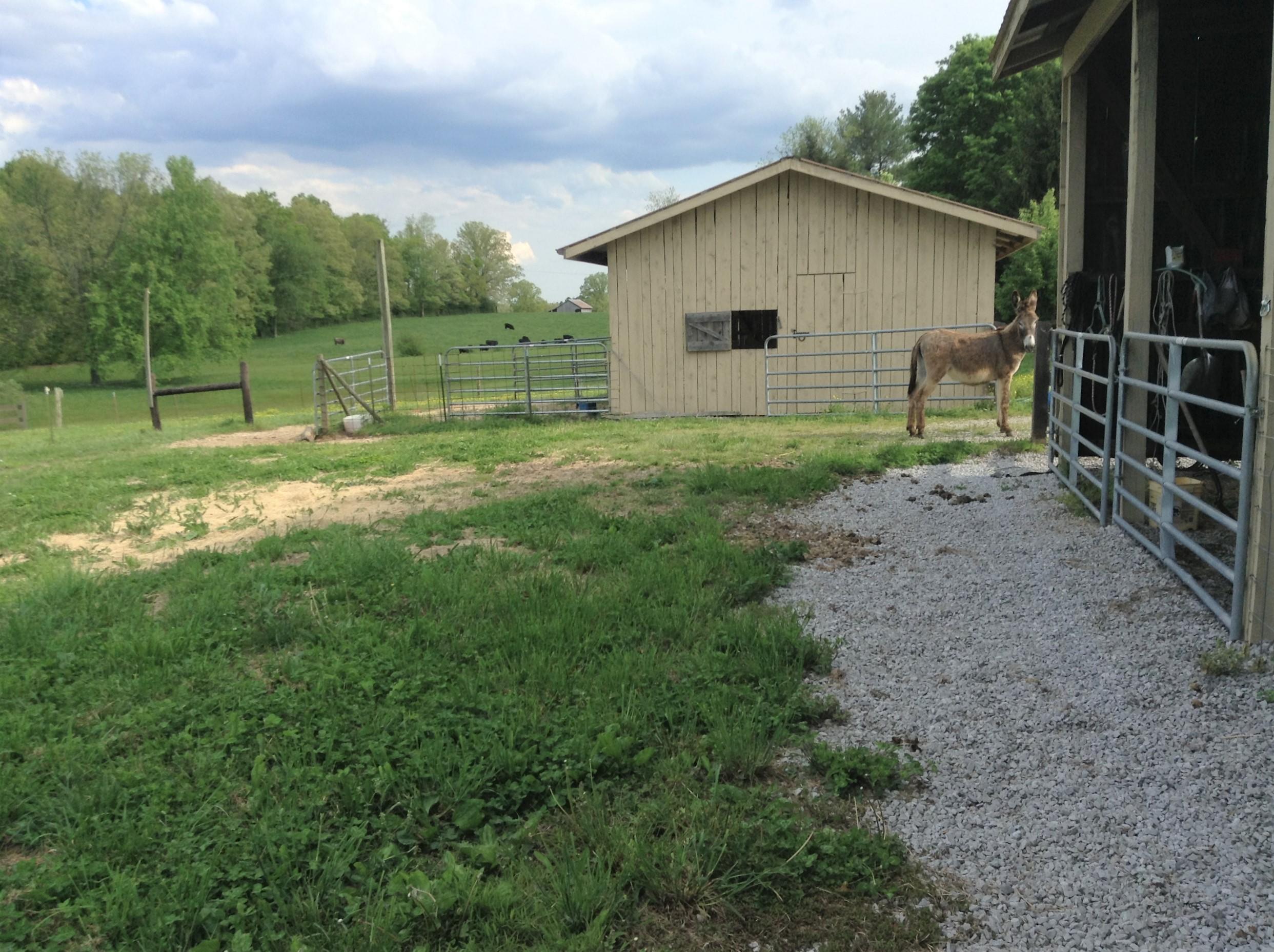 Frost Road Crossville, TN 38571 - Photo 6 of 23 IMG_0060