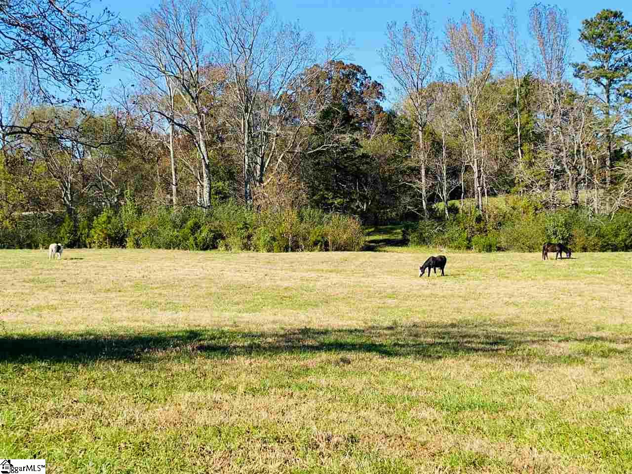 2373 Mt Bethel Road Ware Shoals, SC 29692 - Photo 25 of 27
