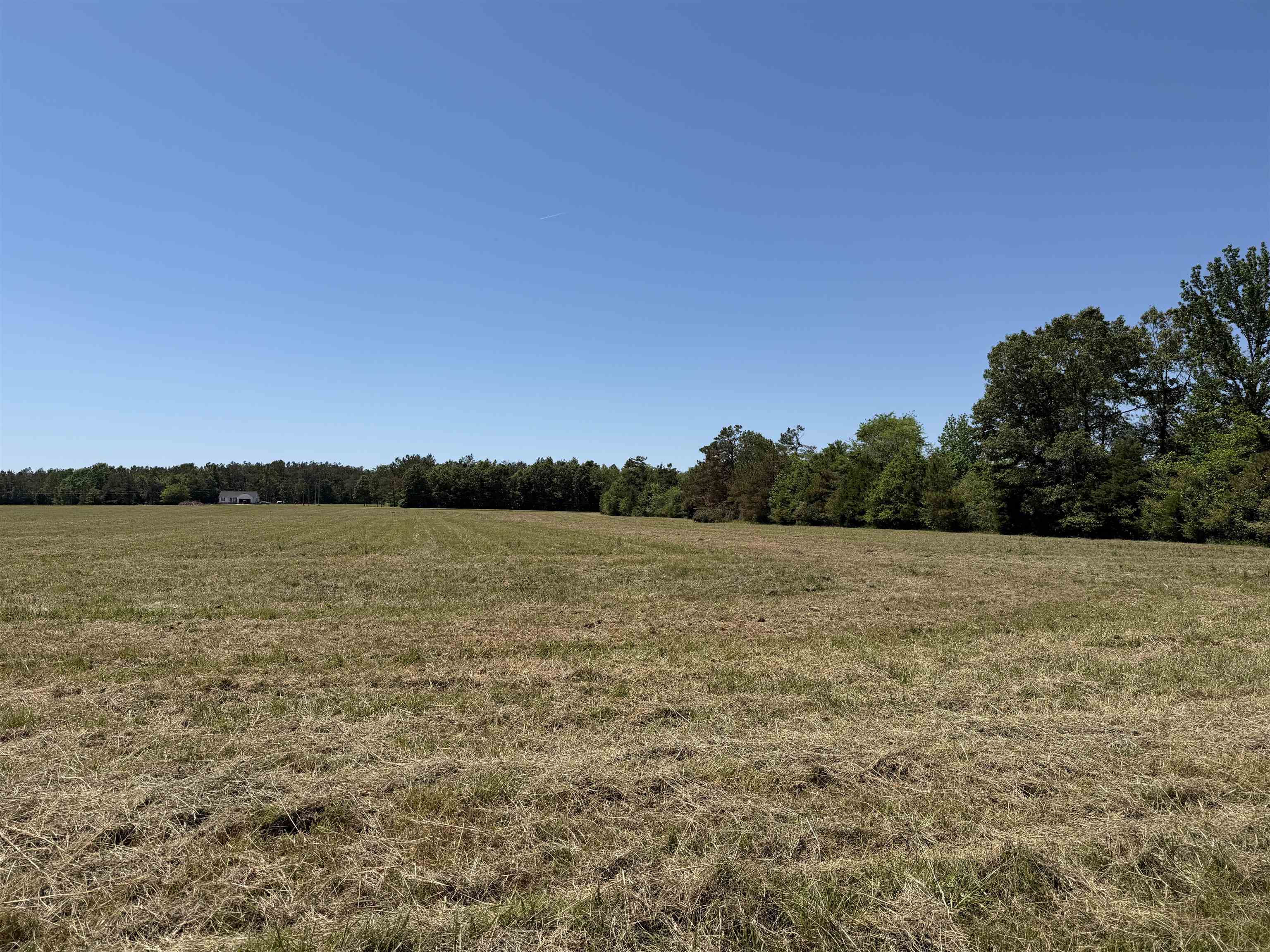 5 Bethlehem Road Adamsville, TN 38310 - Photo 5 of 9