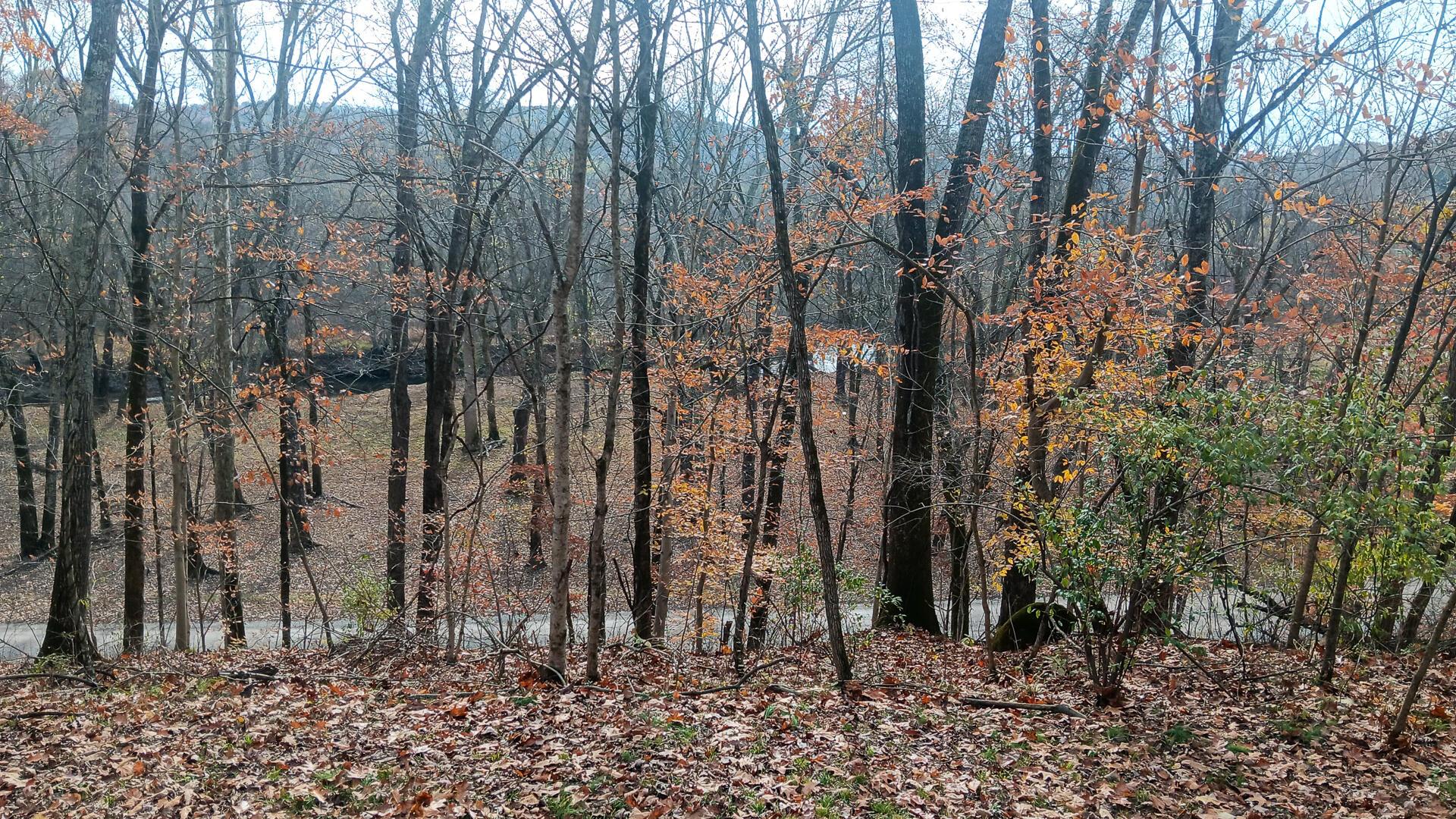 0 Keystone Road, Unit CREEKVIEW CABIN) Vinton, OH 45686 - Photo 65 of 95 CT-65
