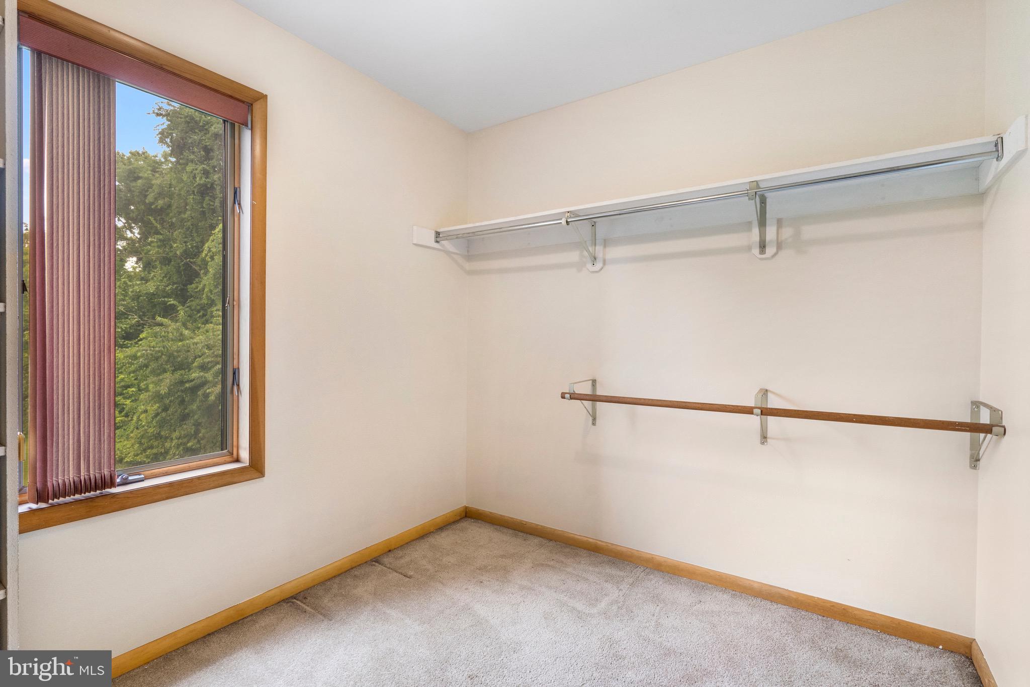 903 Colston Drive Falling Waters, WV 25419 - Photo 28 of 46 Primary closet