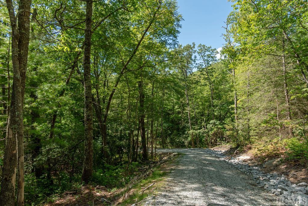 Lot V1 East Ridge Road Sapphire, NC 28774 - Photo 22 of 35 Gallery Image 22