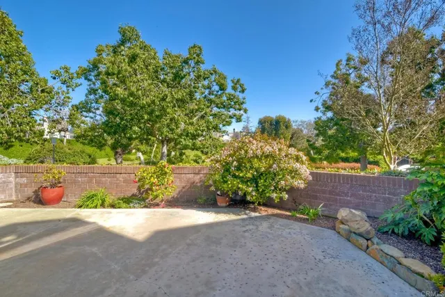 a view of a yard with plants and a bench