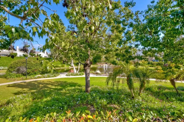 a backyard of a house with lots of green space and trees all around