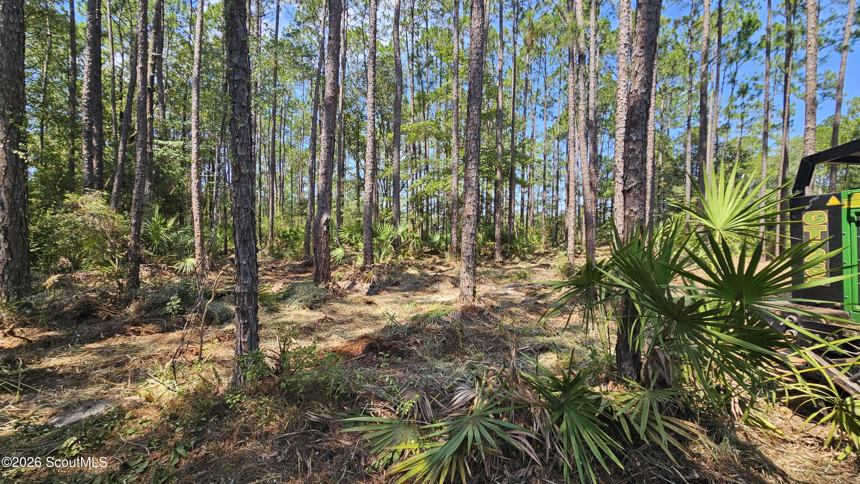 323 Baker Creek Road Nahunta, GA 31553 - Photo 4 of 6 20260820_120411