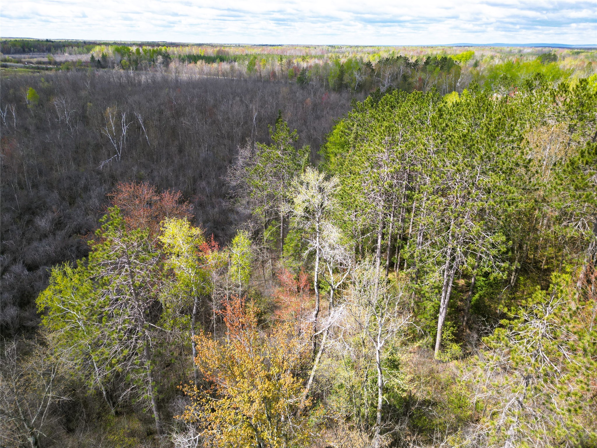 36.5-acres East Cedarbrook Road Ladysmith, WI 54848 - Photo 10 of 18