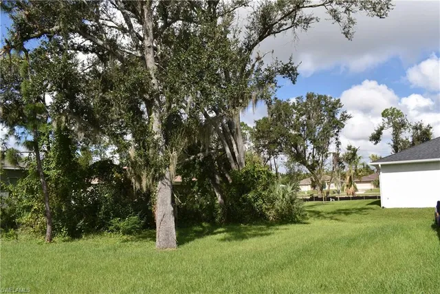 a view of a tree with a yard