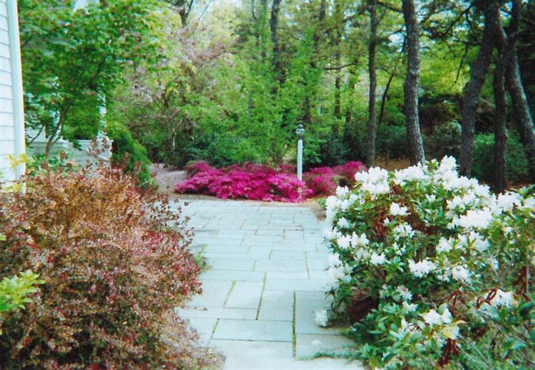 50 Woods Neck Road Orleans, MA 02653 - Photo 18 of 22 a view of a yard with flowers