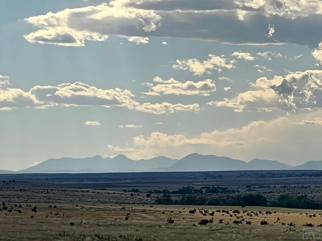 93.9 County Road 93.9 Model, CO 81059 - Photo 9 of 40