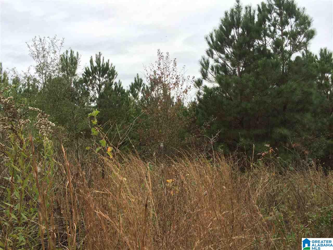 Page Spring Road, Unit 4 Arab, AL 35016 - Photo 9 of 29